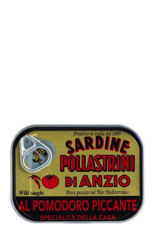 SArdine al Pomodoro piccante 1 Sardinen in Pikanter Tomatensauce